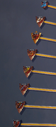 Bow