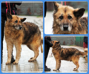 Be-Funky-collage-19.jpg&key=7d84c71bf437