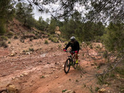 (30/03/2019) CAMPILLO LOS JIMÉNEZ (CEHEGÍN) IMG-5721