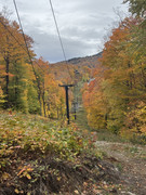 IMG-2684