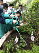 photo-20211123-iherbalgarden-049