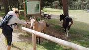 IMG-20250614-114311