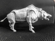 20191209_140653_2_resized