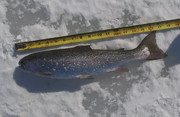 [Image: 20220114-120732-1.jpg]
