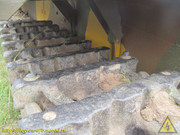 IMG-6569