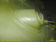 DSCN2044