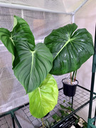 03E634F1-8346-431A-B8E0-24EC50791870