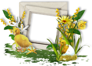 0-175c6d-9649b481-orig