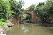 DSC-0003