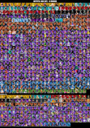 skins-comp