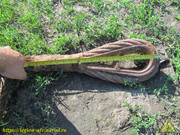 IMG-1773
