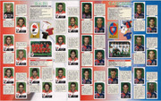 Album-Calciatori-2002-03-Panini-45