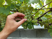 IMG-20220814-141729