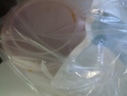 IMG_20250807_214815_793