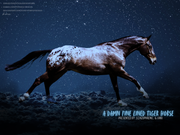 A-damn-fine-line-Tiger-Horse