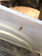 C37358D3-8A92-4610-9F8E-C94555BD04E5