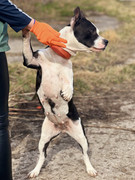 IMG_20230415_233128_666