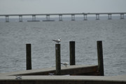 DSC0025