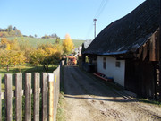 Obrázek