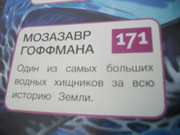 https://i.postimg.cc/5YwzQCMJ/100-8088.jpg