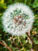 IMG-20190424-114035