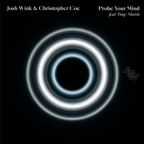 Josh Wink & Christopher Coe & Tony Morris - Probe Your Mind (2026)