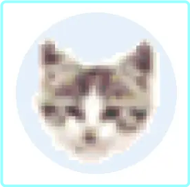 [Image: sg7hbm69kuf2.png]