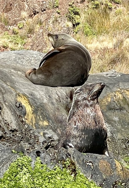 [Linked Image from i.postimg.cc]