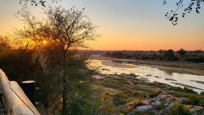 Африканские каникулы - зверики Крюгера, пески Намибии, воды Виктории