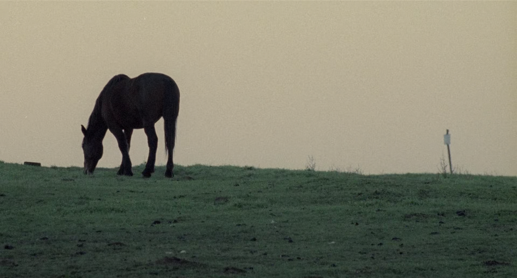 [Image: yo925ae8cmwg.png]