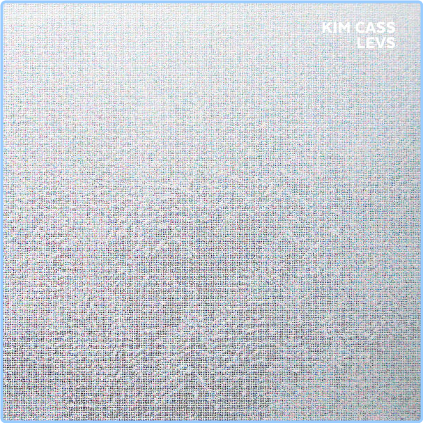 Kim Cass Levs (2024) 24Bit 96kHz [FLAC] Crq3jt0ppj29