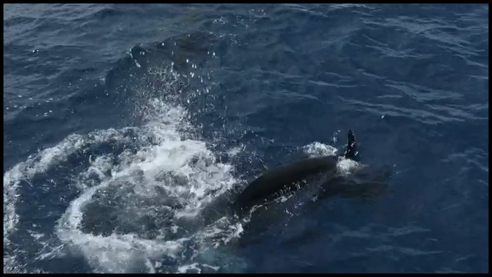 [Image: etnxn34jn50h.png]