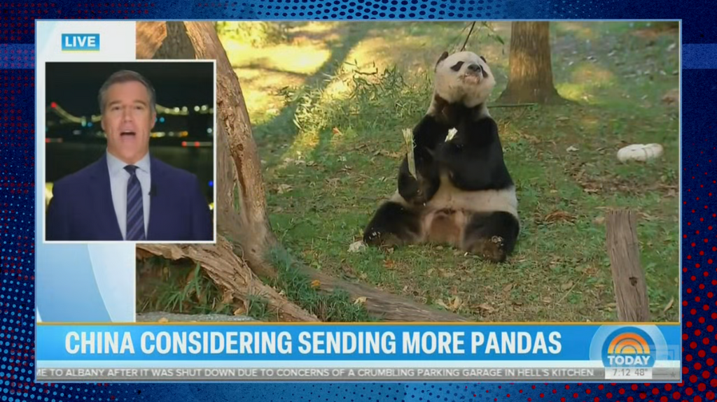 [Image: xj4gw8lp4rh3.png]