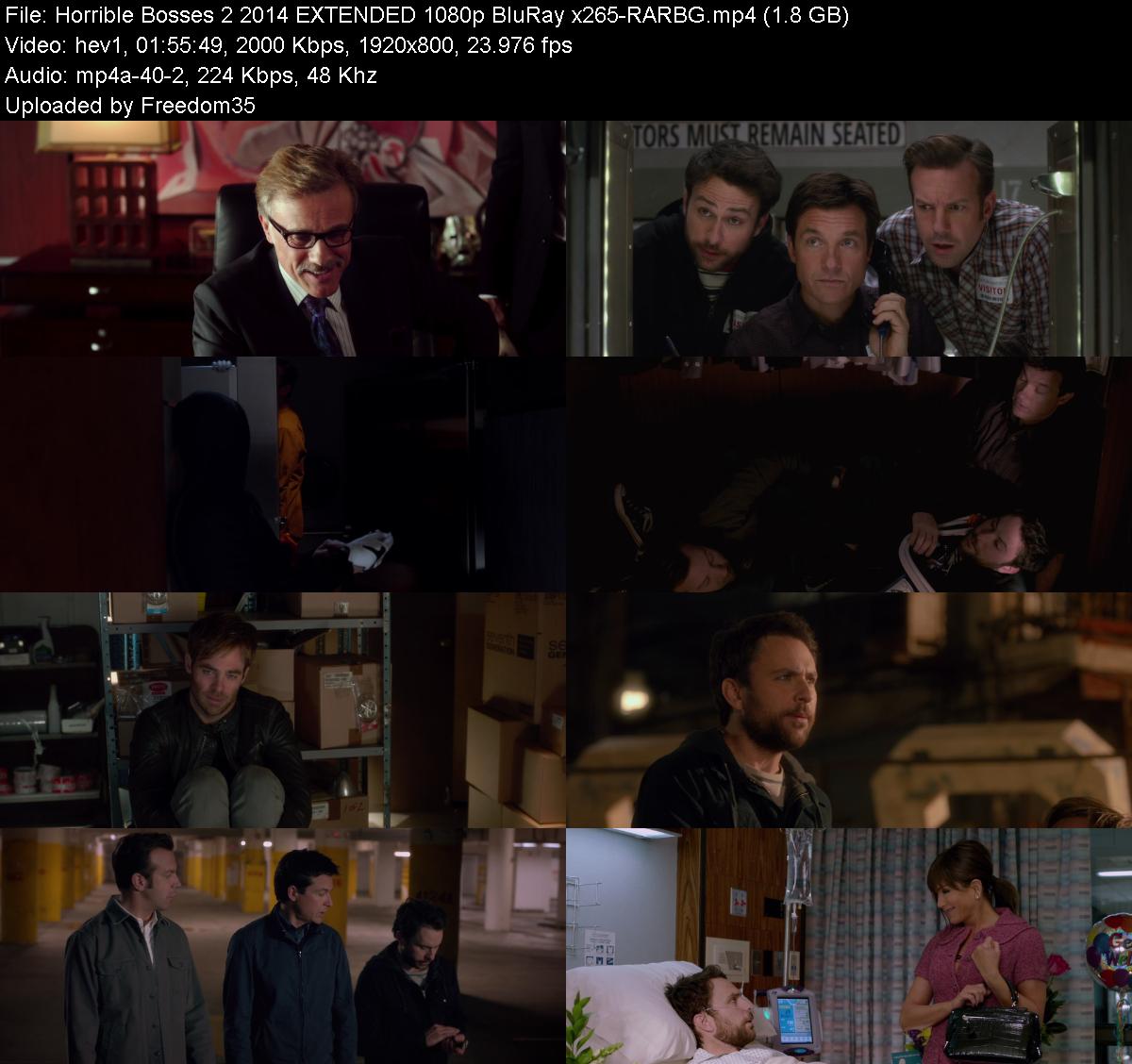 Horrible-Bosses-2-2014-EXTENDED-1080p-Bl