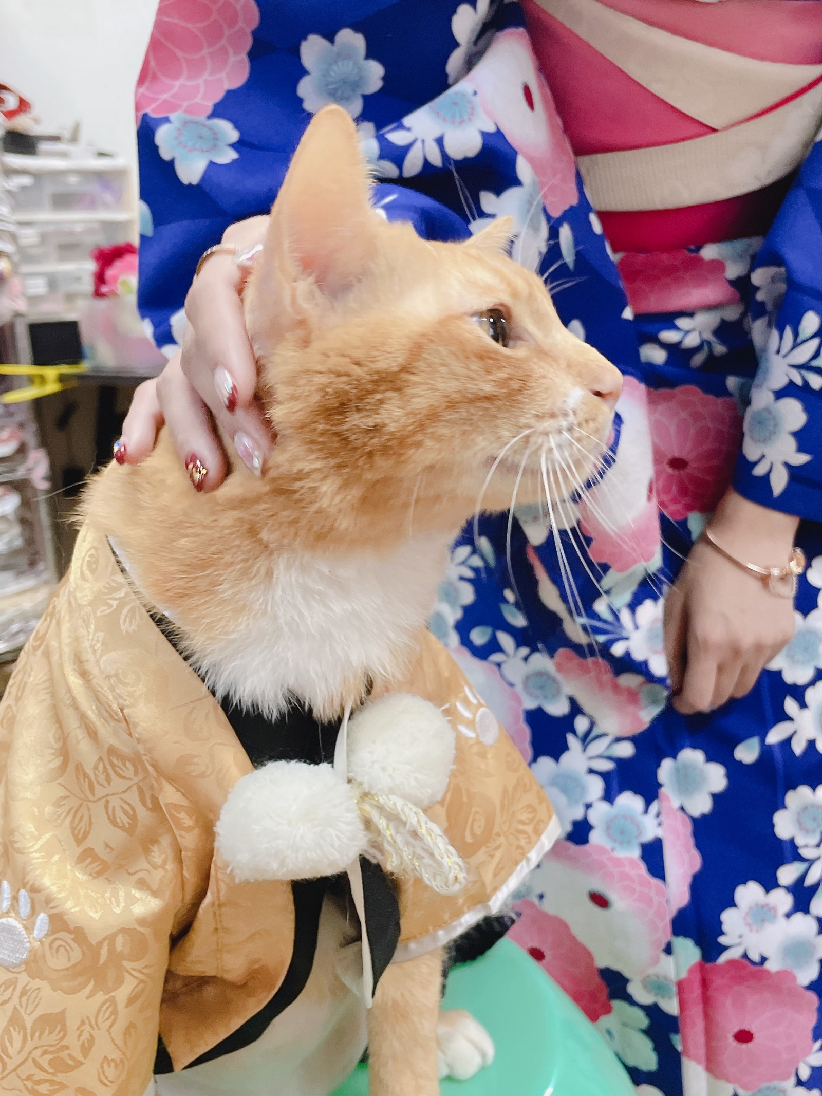 泥泥汝 和服主题 写真＋视频合集｜日式传统风高清图集（440P｜26V｜1.36GB）插图2