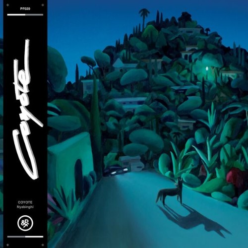 Coyote - Nyabinghi (2026)