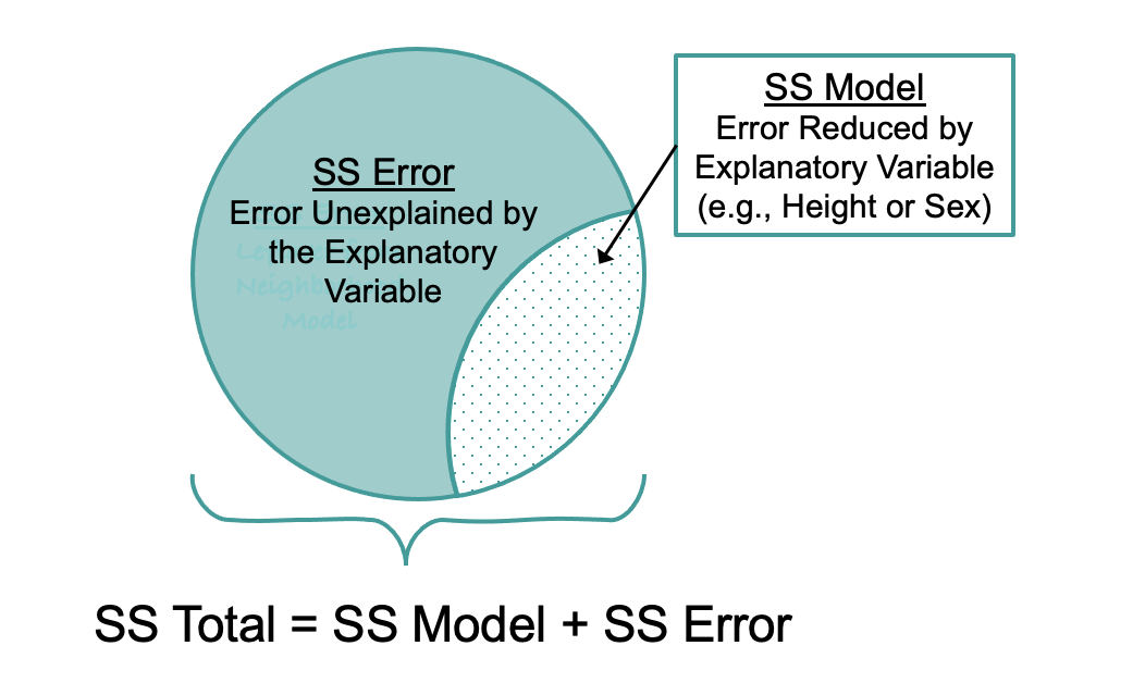 Diagram showing the partitioning of Sum of Squares. A circle representing SS Total from the Empty Model of Thumb is partitioned into SS Model (Error Reduced by the Explanatory Variable (e.g., Height or Sex) and SS Error (Error Unexplained by the Explanatory Variable). At the bottom, the entire circle is labeled with the equation SS Total = SS Model + SS Error.