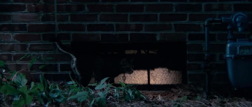 [Image: 3y18wpj9xgno.jpg]