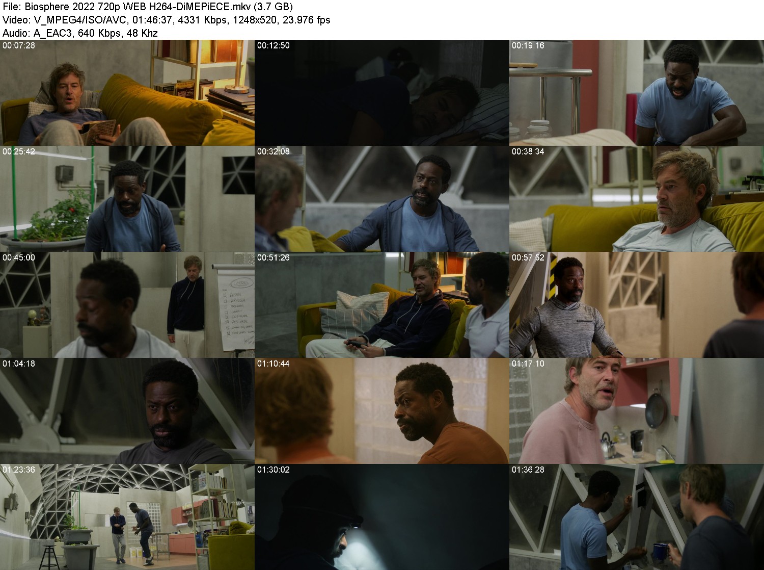 [Image: yczc5dr46da3.jpg]