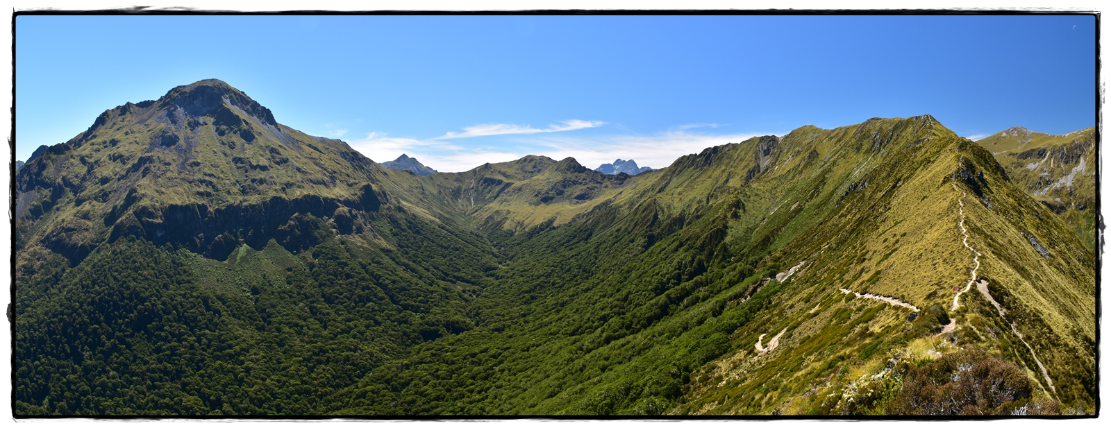 Fiordland NP: Kepler Track (febrero 2022) - Escapadas y rutas por la Nueva Zelanda menos conocida (41)