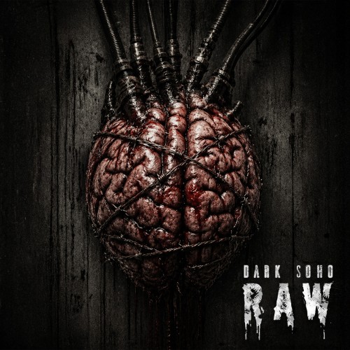 Dark Soho - Raw (2026) MP3