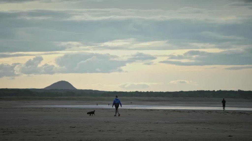 [Image: rml0t8fxl7w1.jpg]