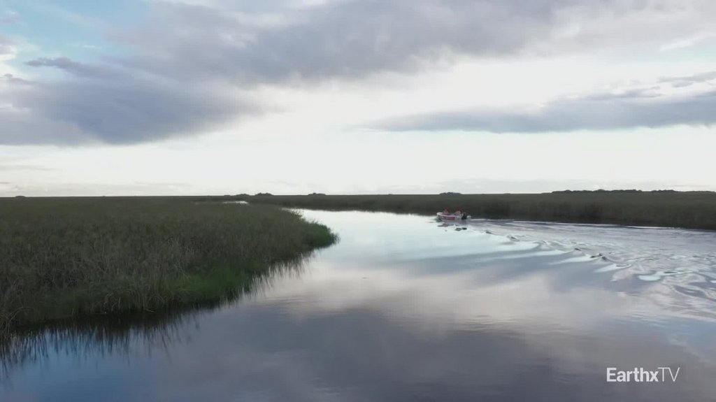 [Image: l6qy49k3cocd.jpg]