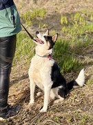 IMG_20230417_005446_219