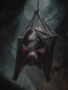 HighRes-Vampirfledermaus-standard v2-2x