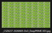 [Image: Photo-resultante-de-l-export-par-affinity.jpg]