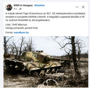 Kép