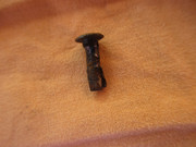 IMG-3646.jpg