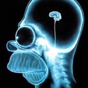 [Image: 60-C3-CF90-89-FC-439-F-A82-F-643-BCD3524-F3.jpg]