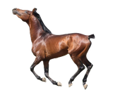 76EF97CA-69E0-40B0-BCB3-D6DEA7BAFEA5